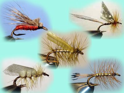 Мушка T&CS Хариус-1 дв. 8 Россия фото
